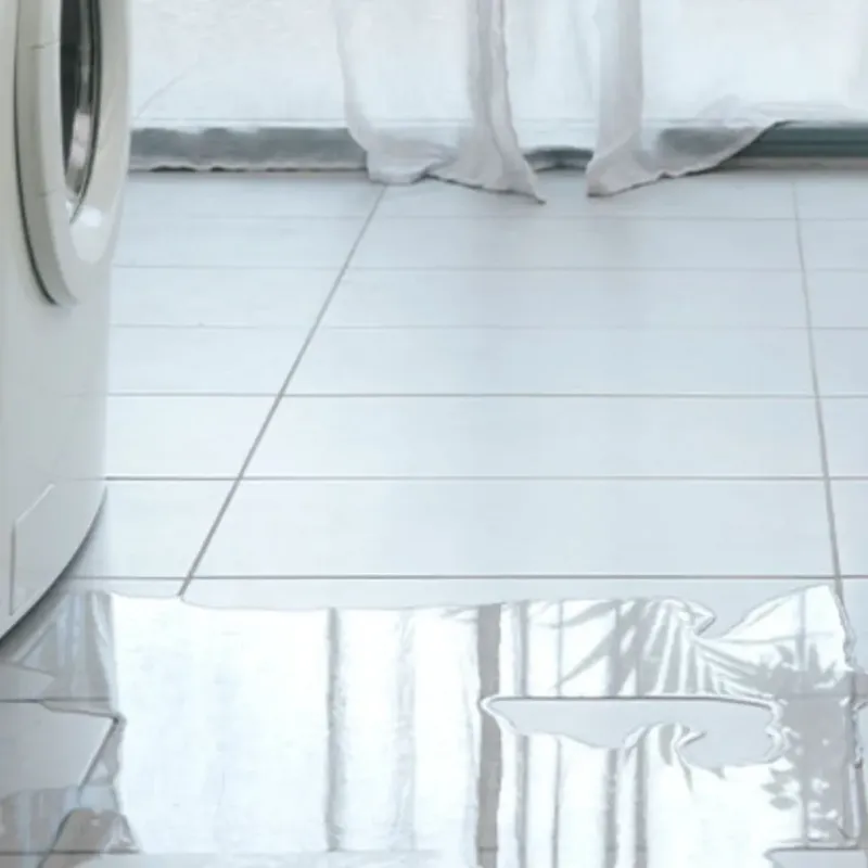 Appliance Leak Cleanup in Ferrysburg, MI