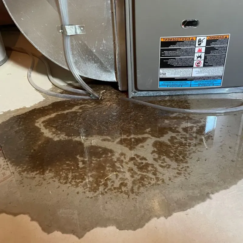 Pipe Burst and Leak Restoration in Ferrysburg, MI