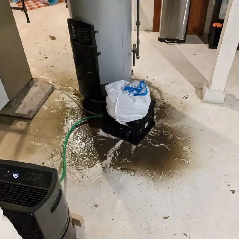 Sewage Backup Cleanup Service in Ferrysburg, MI